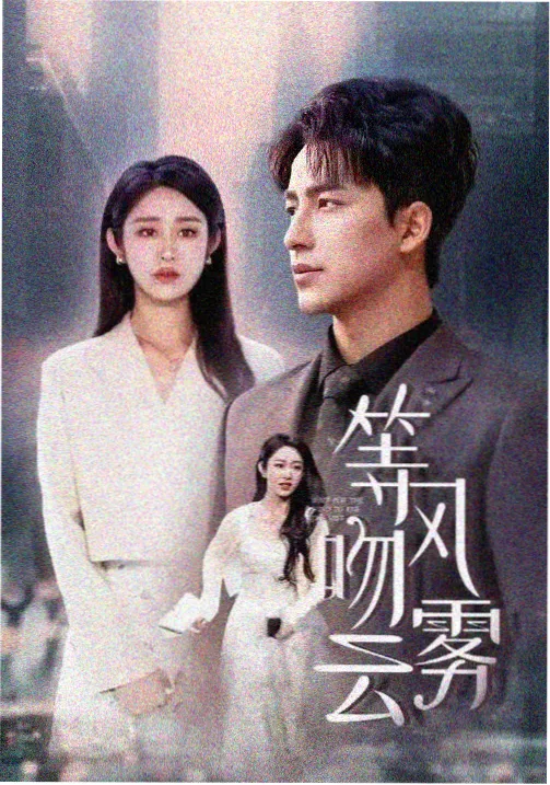 办公室的第七把椅子剧照