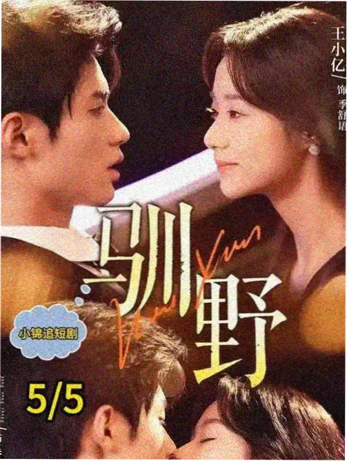 剧集制作流程配图